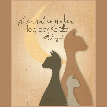 Drei Katzen sitzen auf dem Boden als Silhouette. Im Hintergrund ist ein Halbmond.